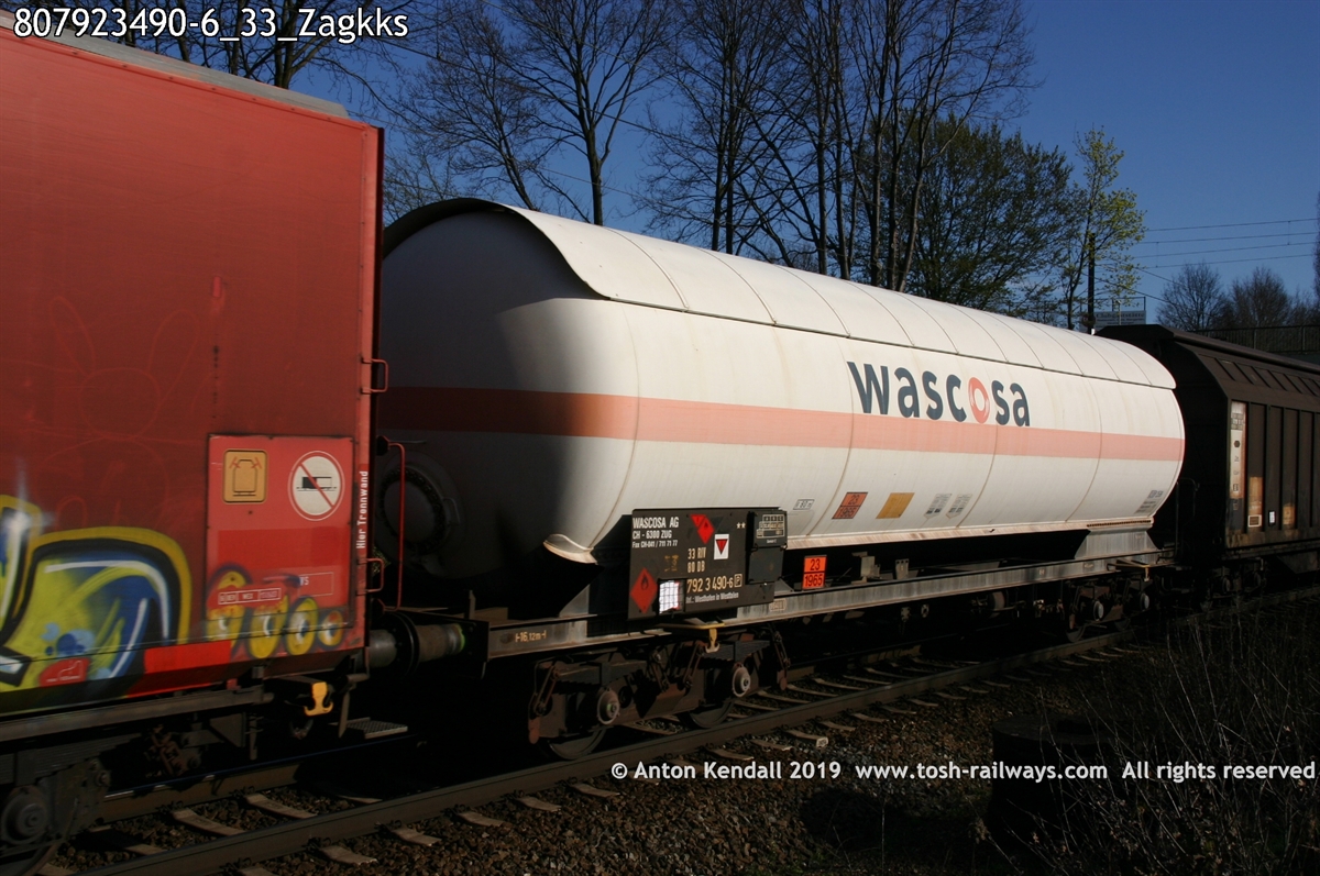 807923490-6_33_Zagkks.jpg